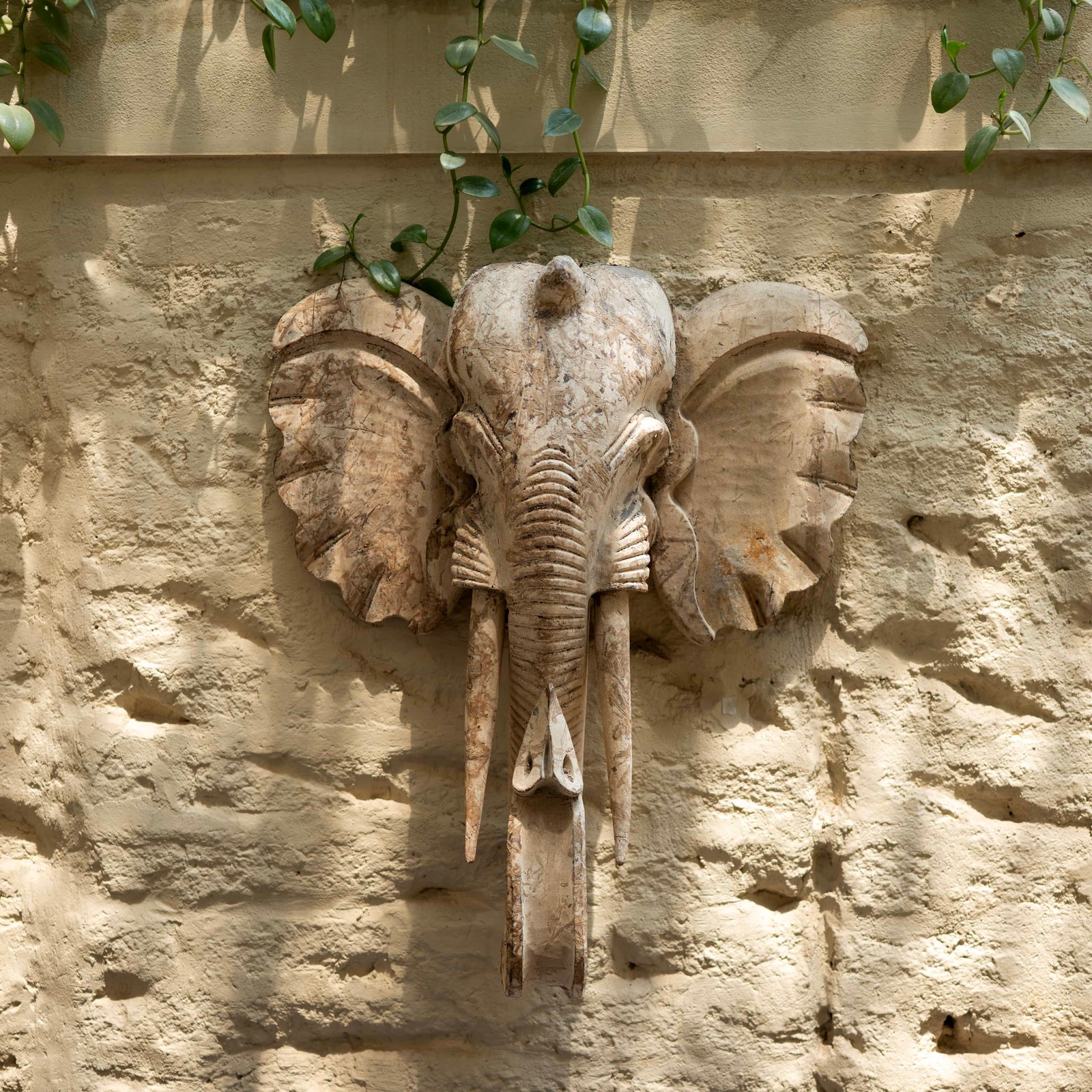 Savannah Relic