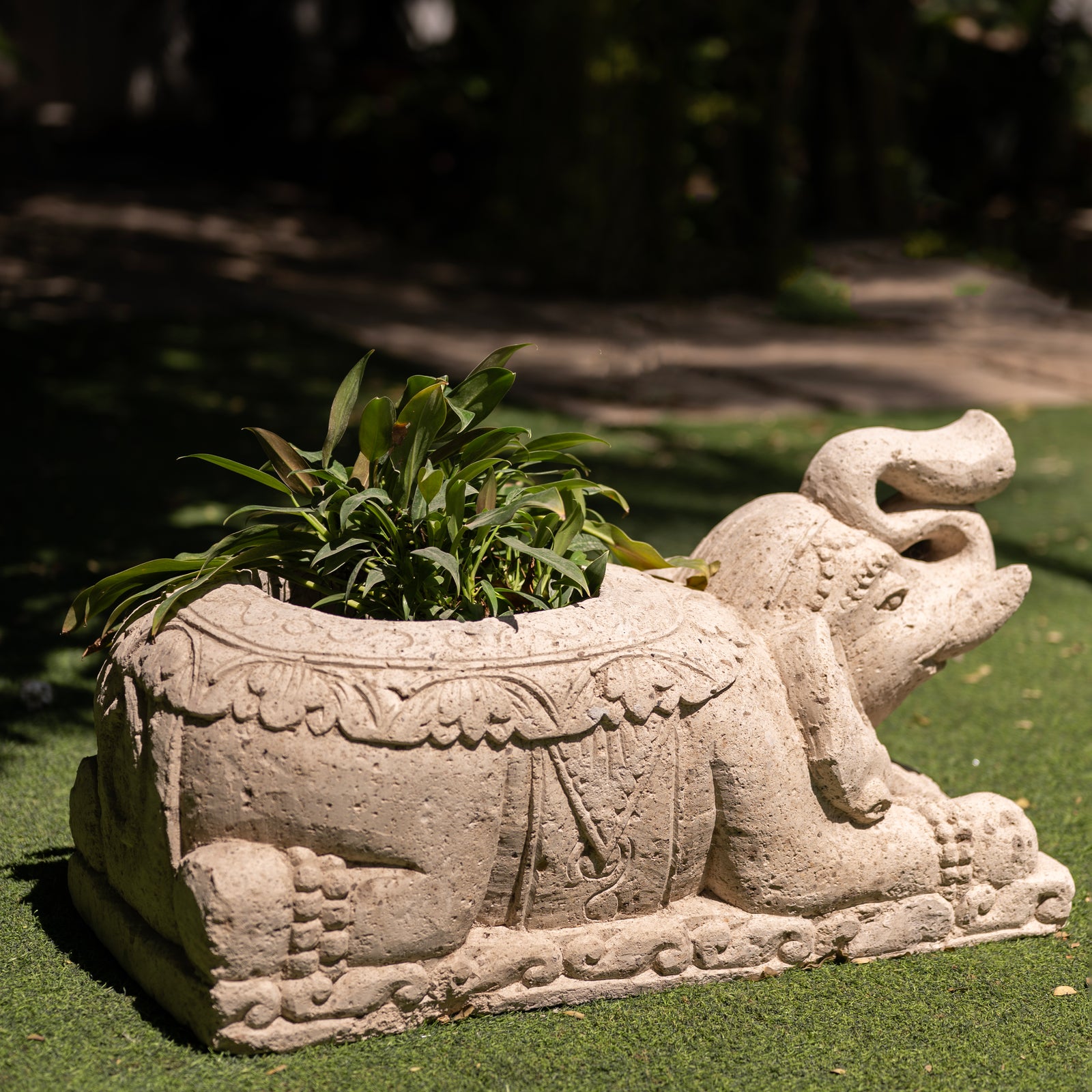 Archaic Tusk