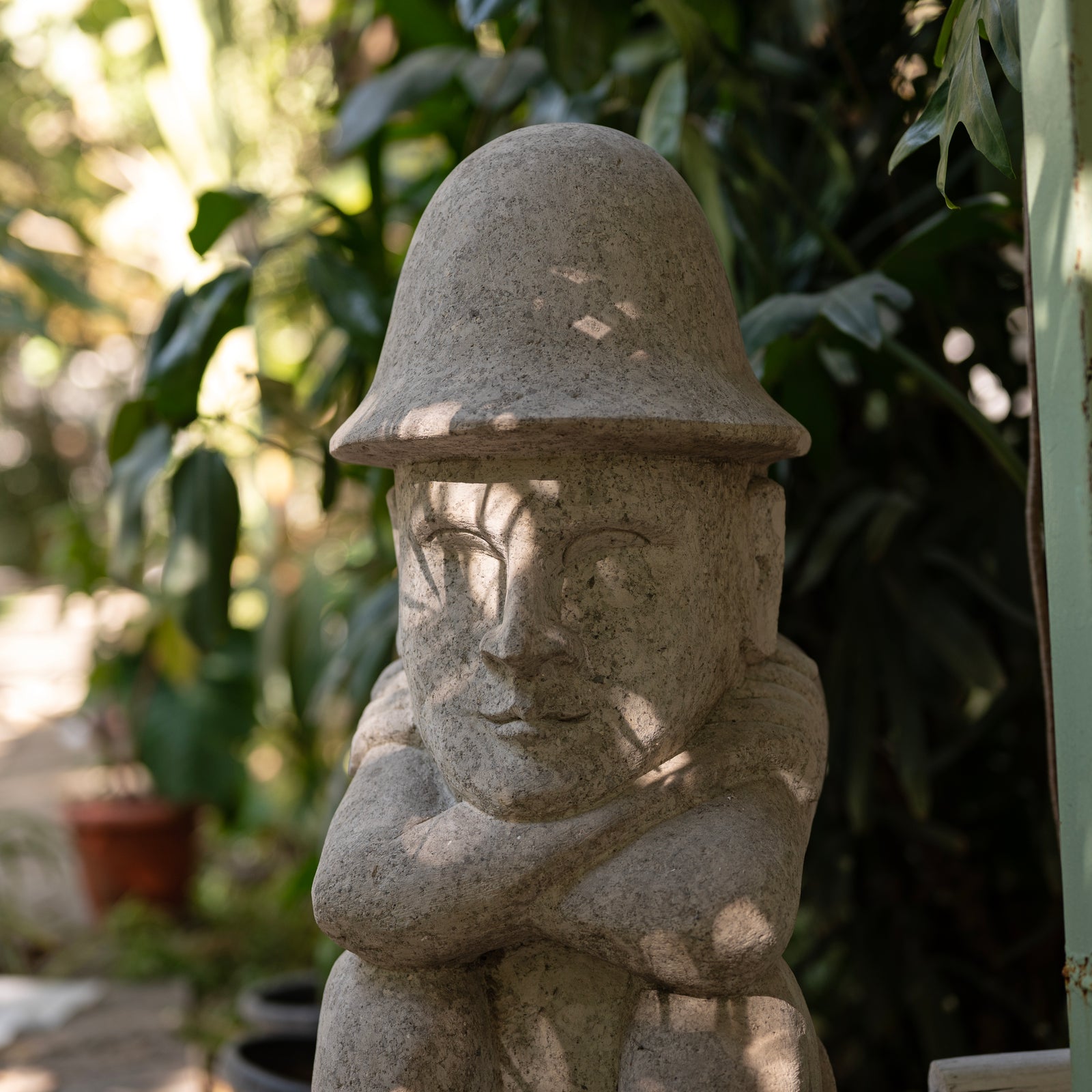 Taro