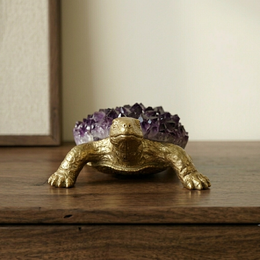 Testudo