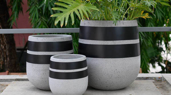 Planters