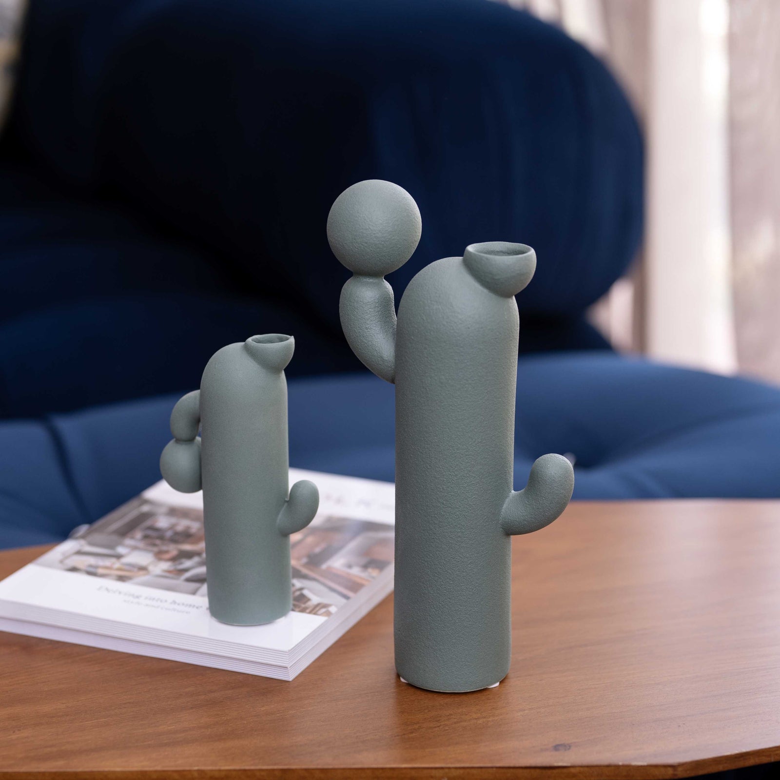 Fuss Cactus