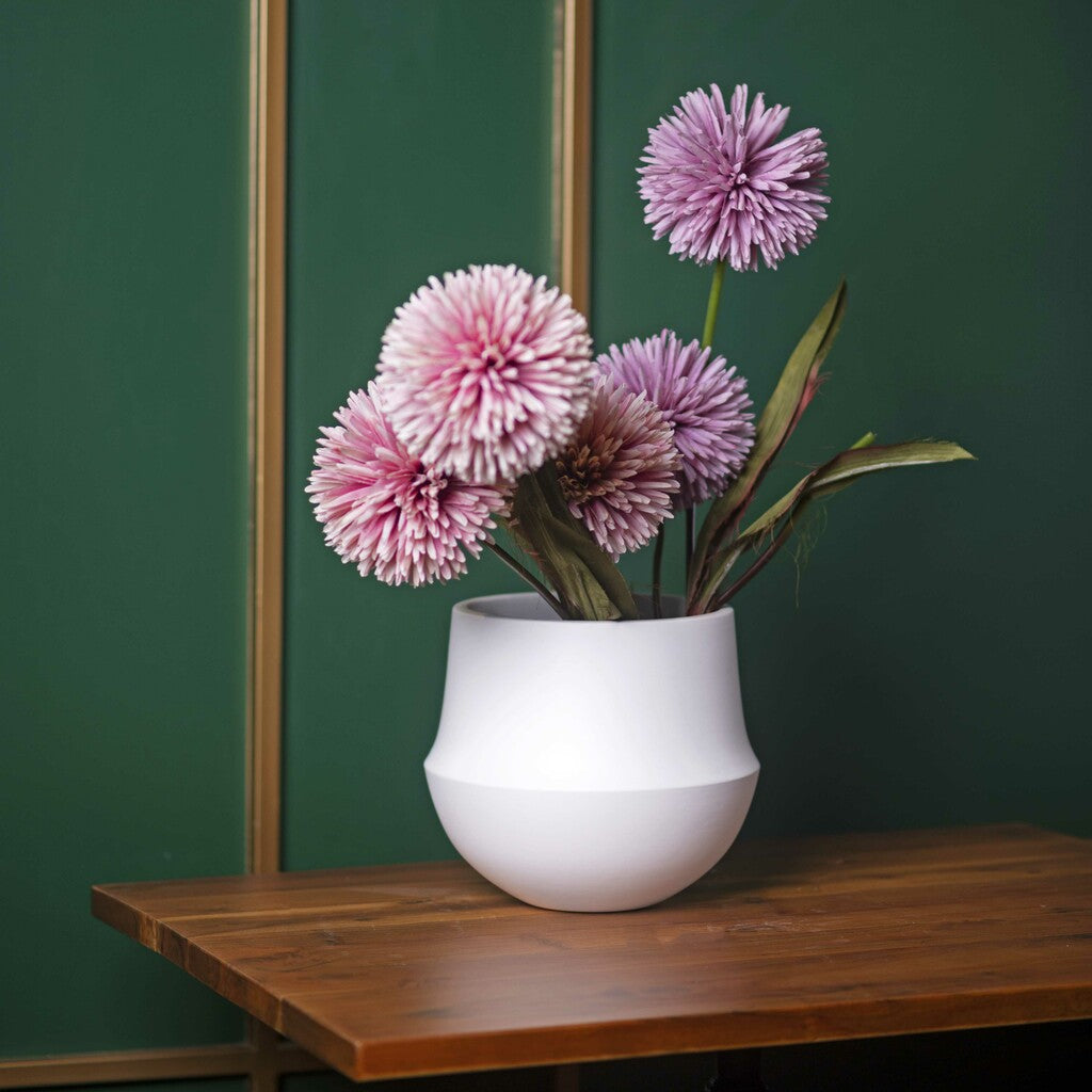 Pure Spite - CurioCasa