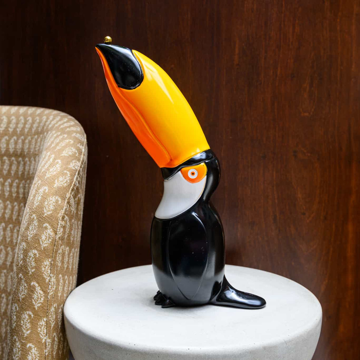 Toco Toucan