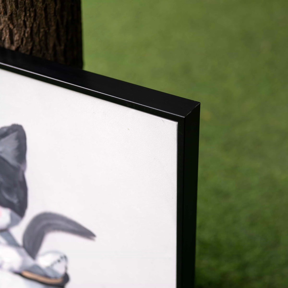Purrtea