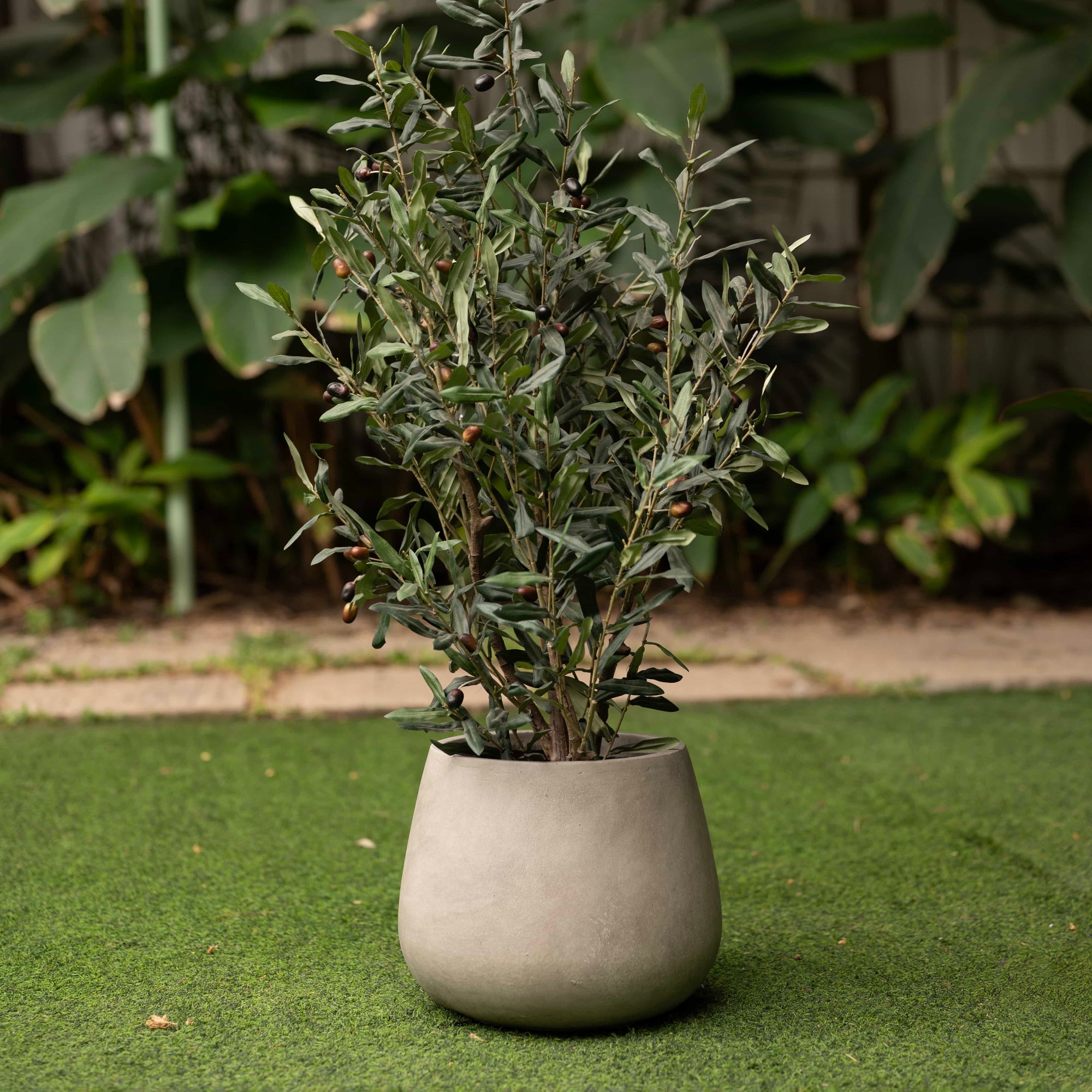 Sage