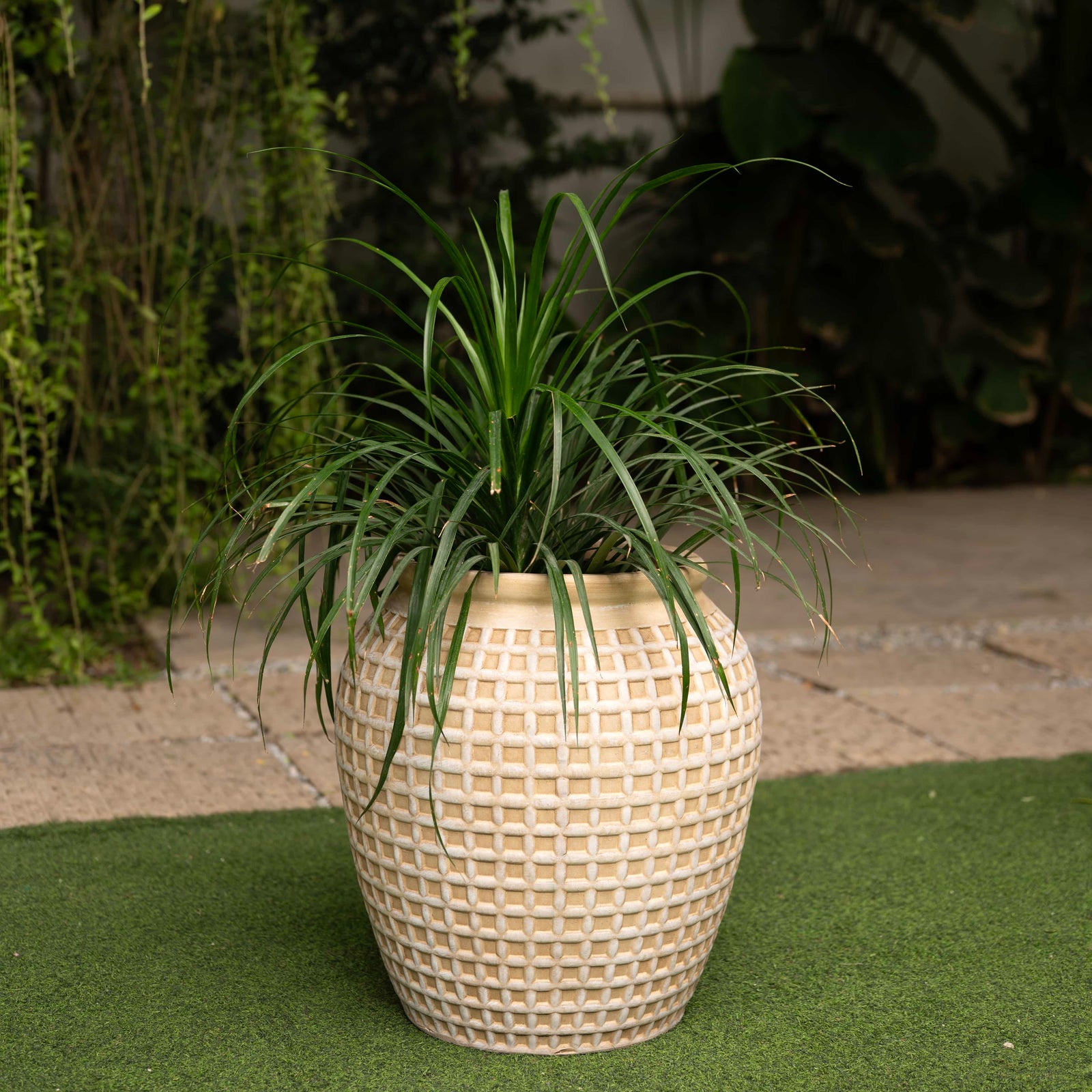 Dulce