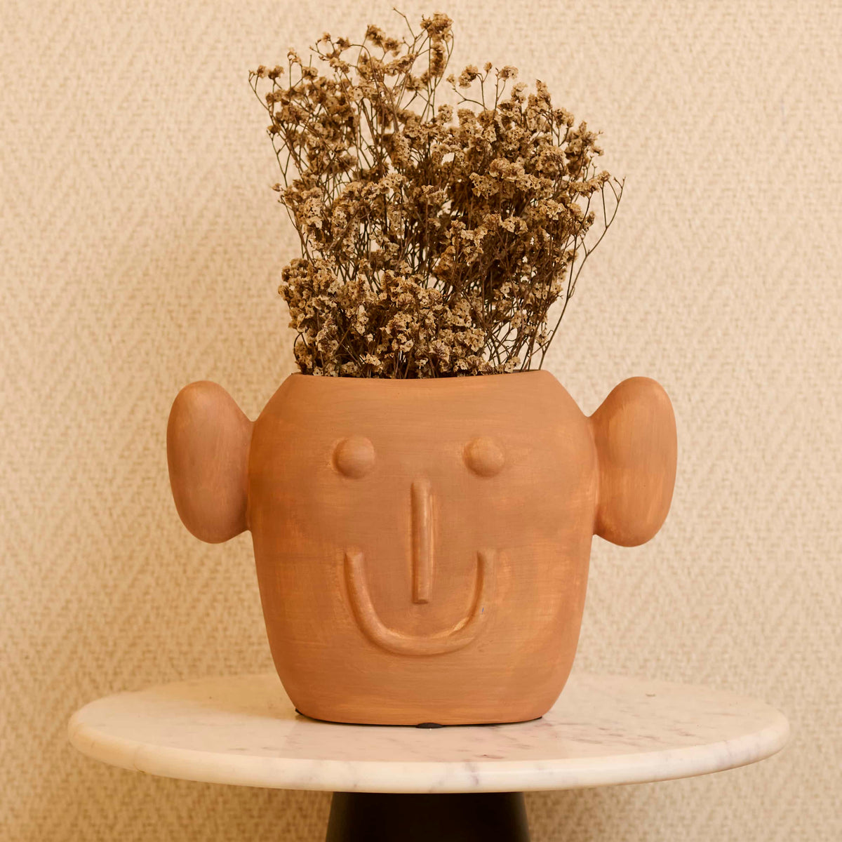 Terrasmile