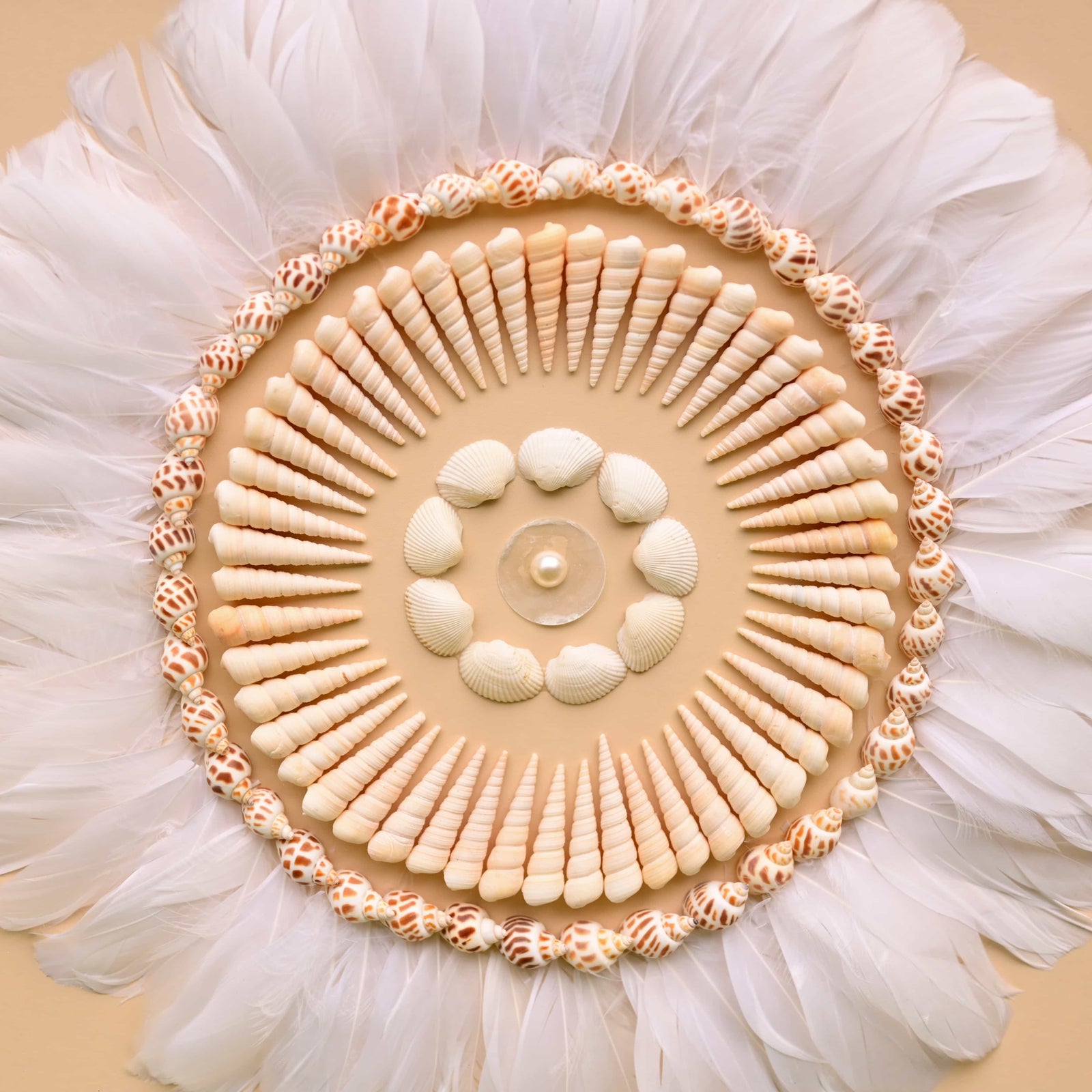Solace Bloom