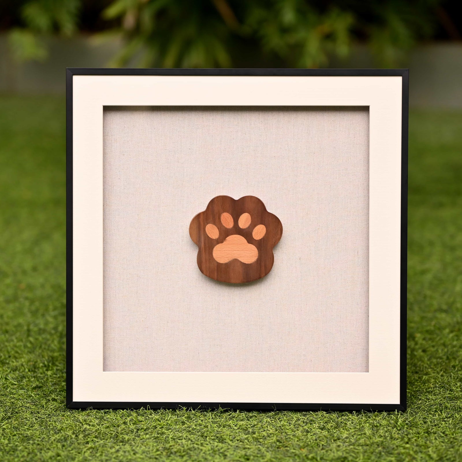 Paw Patrol