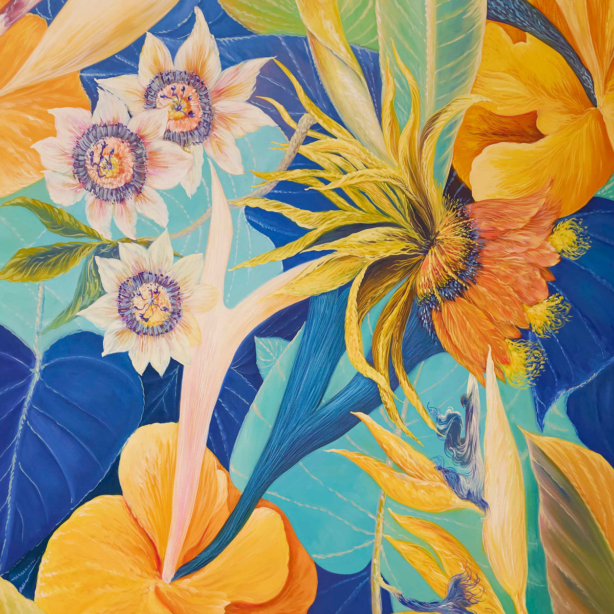 Where Colors Bloom