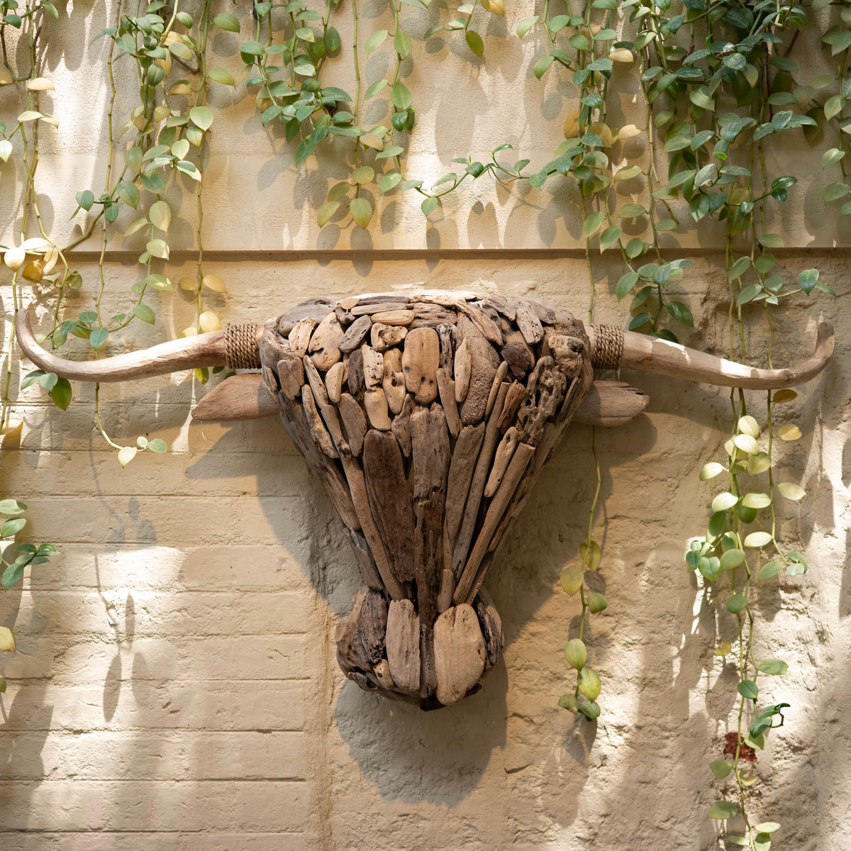 Tidesman’s Bull