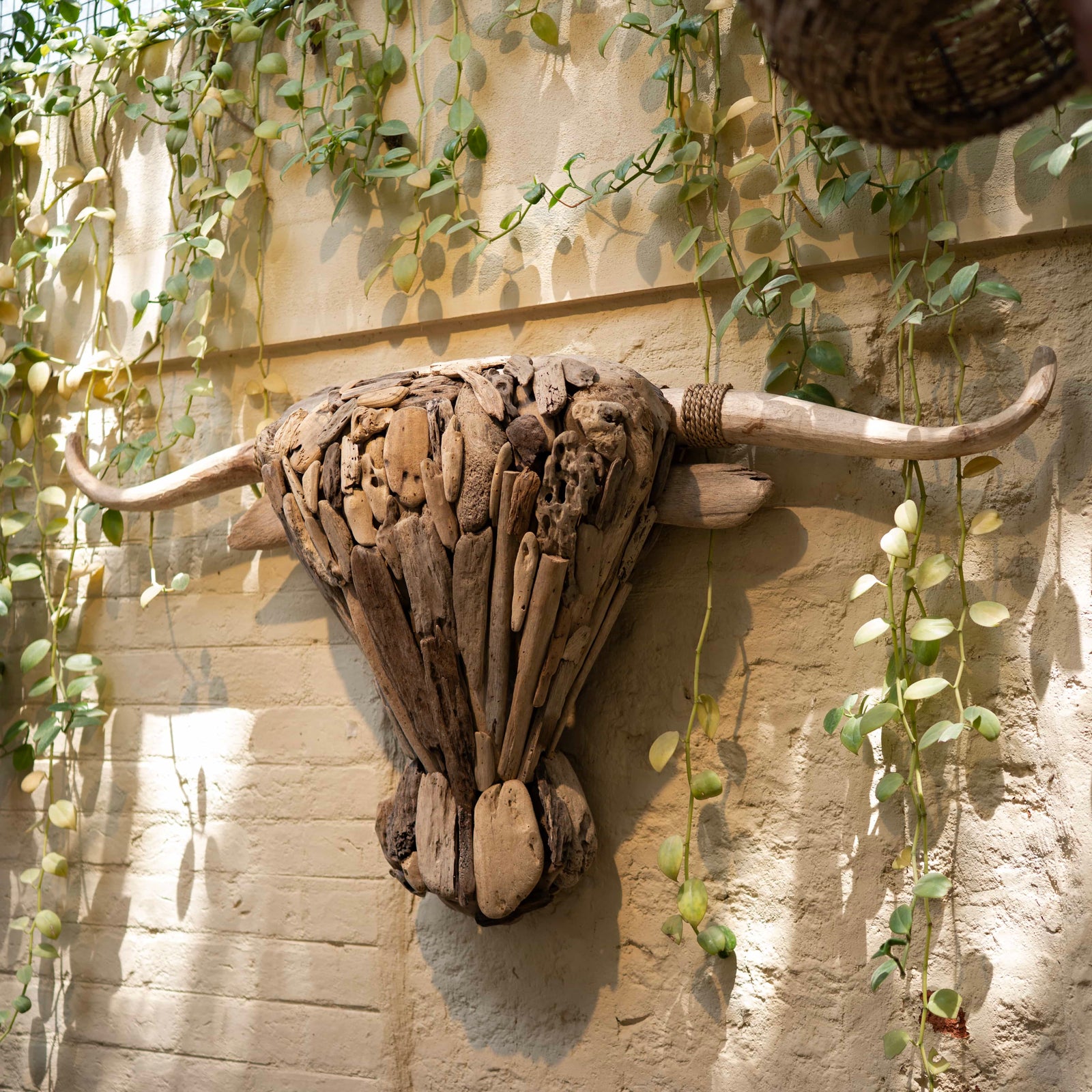 Tidesman’s Bull