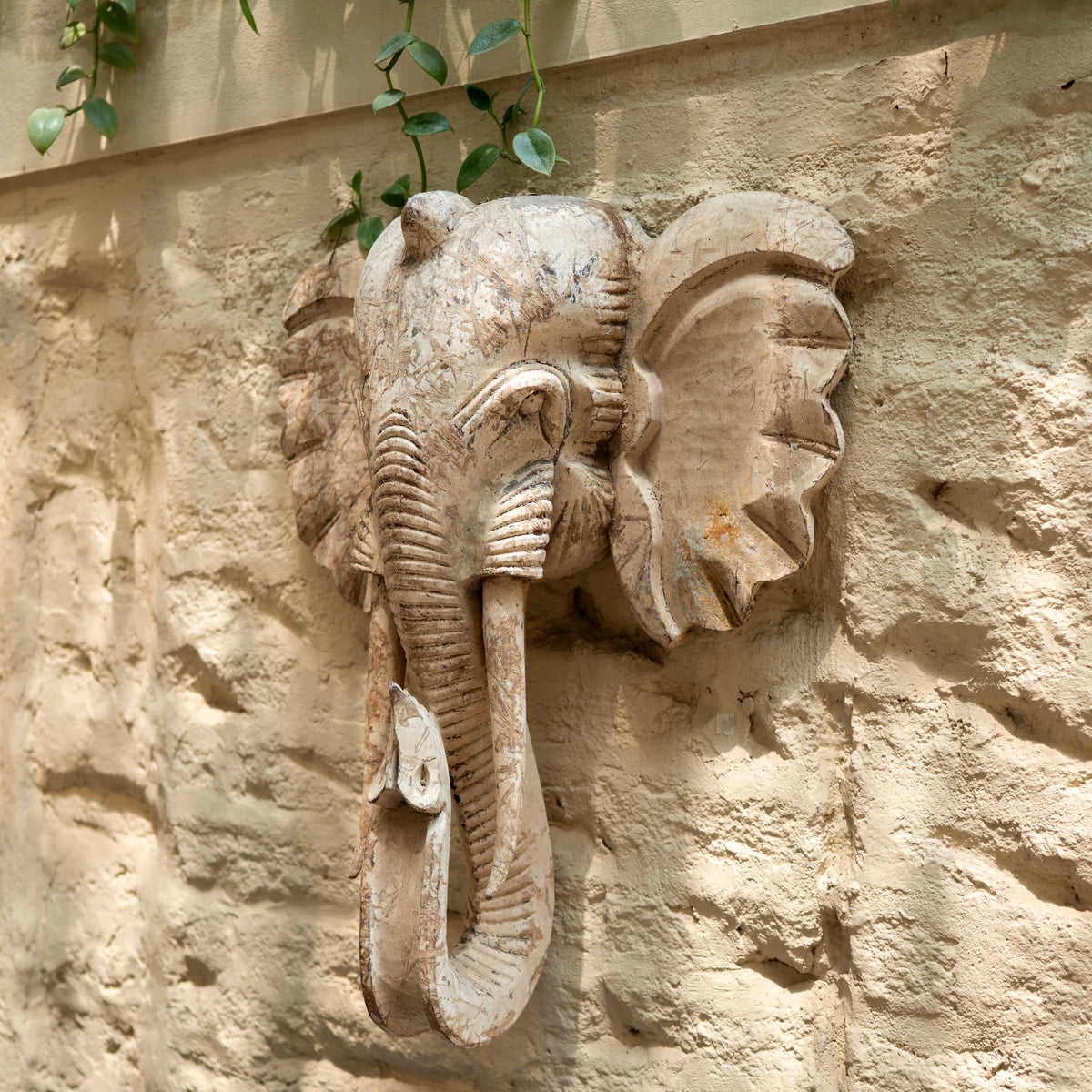 Savannah Relic