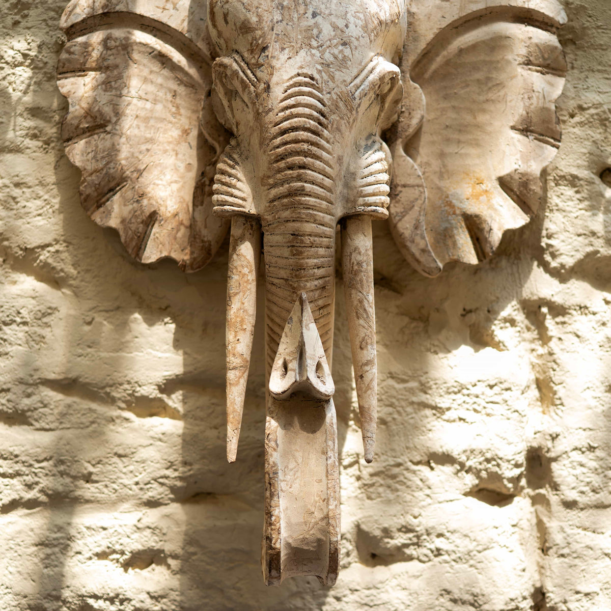 Savannah Relic