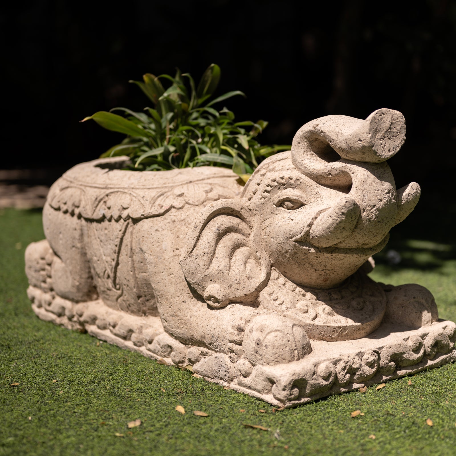 Archaic Tusk
