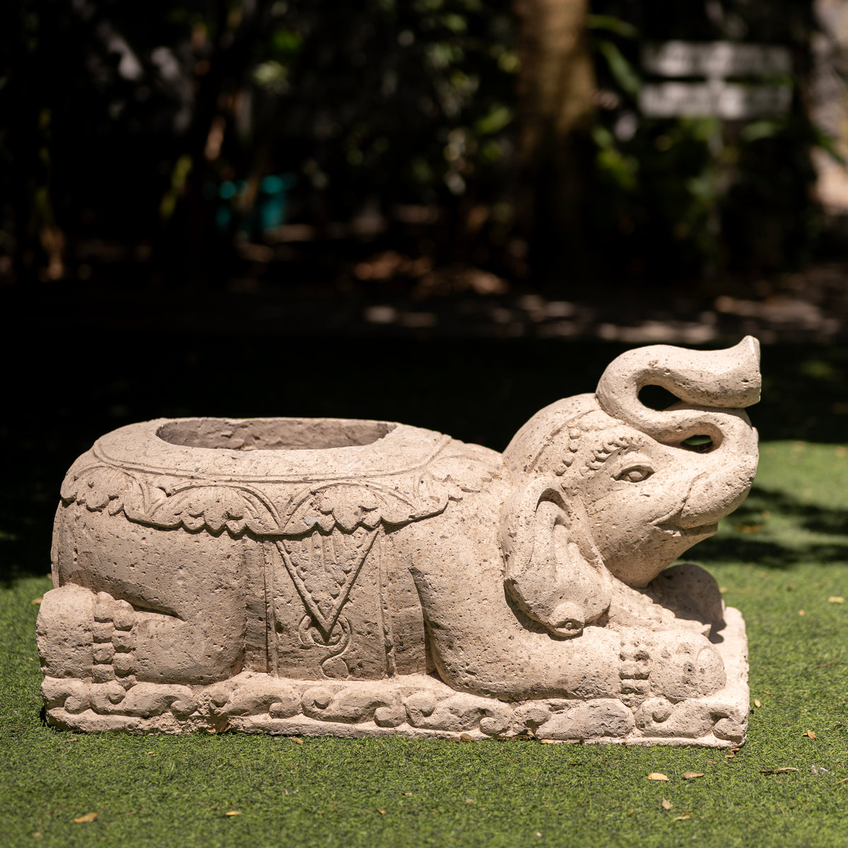 Archaic Tusk