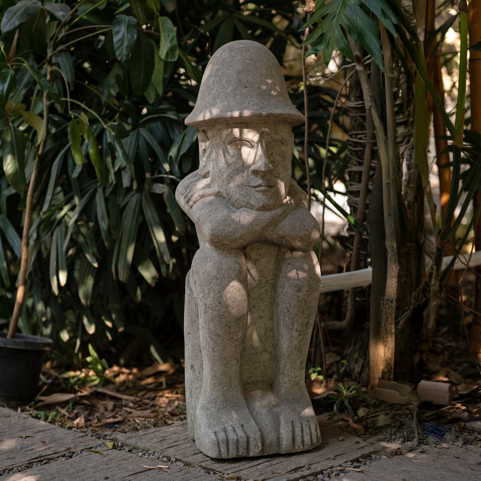 Taro