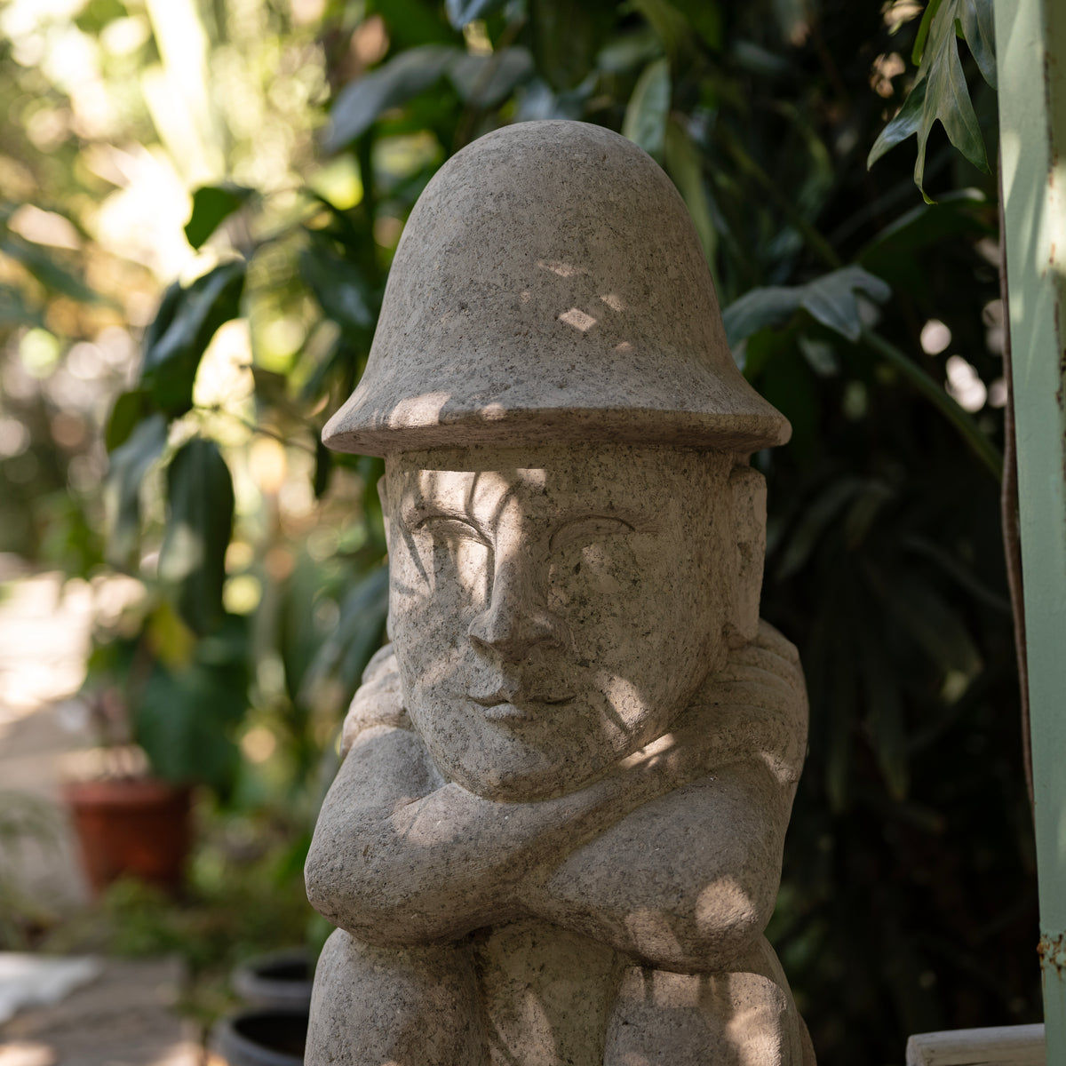 Taro