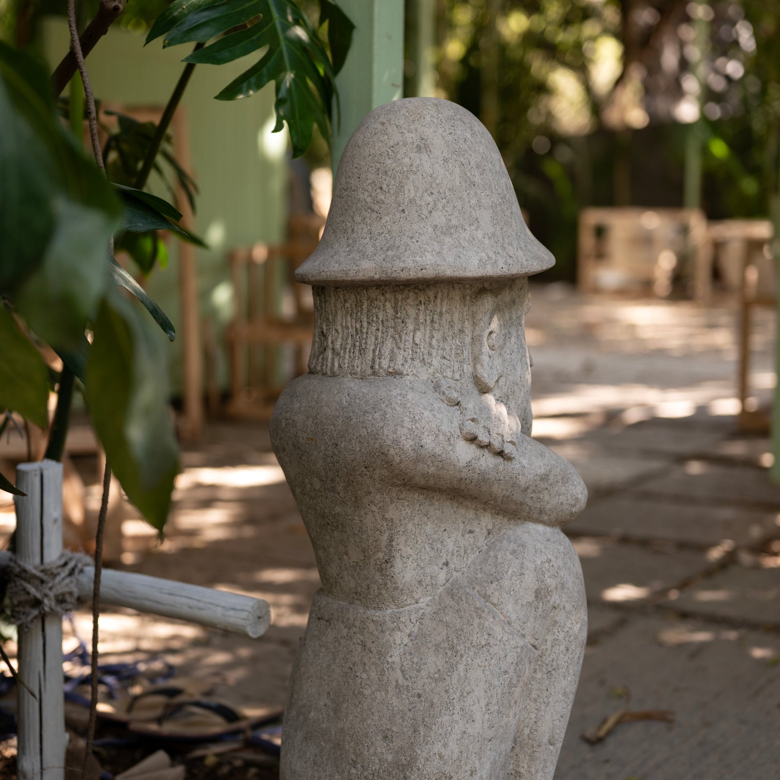 Taro