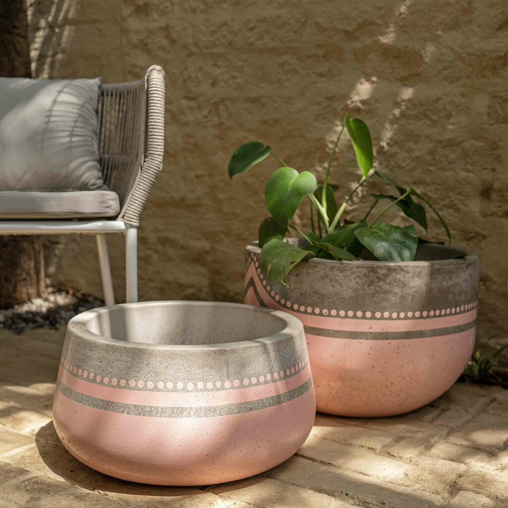 Dotted Eye CurioCasa